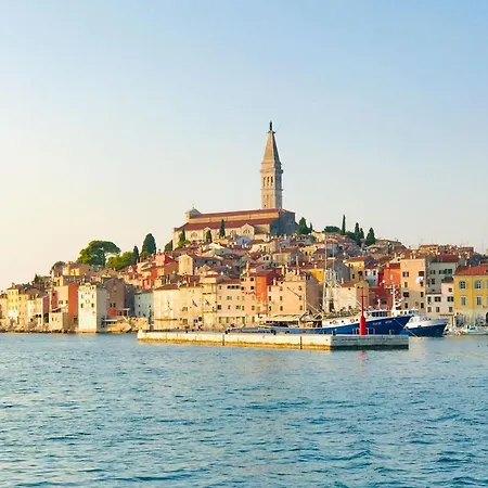 Luciana * רוביני