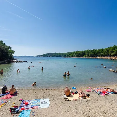 Luciana רוביני